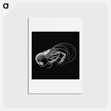アートポストカード-Vintage prawn marine life illustration - エルンスト ヘッケル Postcard.