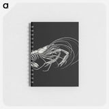 アートメモ帳-Vintage prawn marine life illustration - エルンスト ヘッケル Memo.