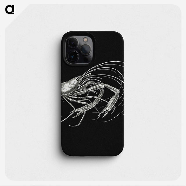 3-23_Ernst-Haeckel_phone