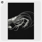 3-23_Ernst-Haeckel_picture-crop