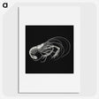 3-23_Ernst-Haeckel_picture