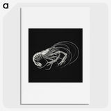 3-23_Ernst-Haeckel_picture