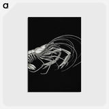 アートポストカード-Vintage prawn marine life illustration - エルンスト ヘッケル Postcard.