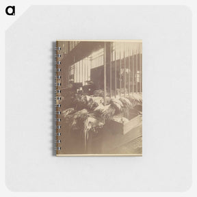 3-23_Eugene-Atget_memo