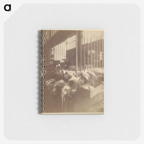 3-23_Eugene-Atget_memo