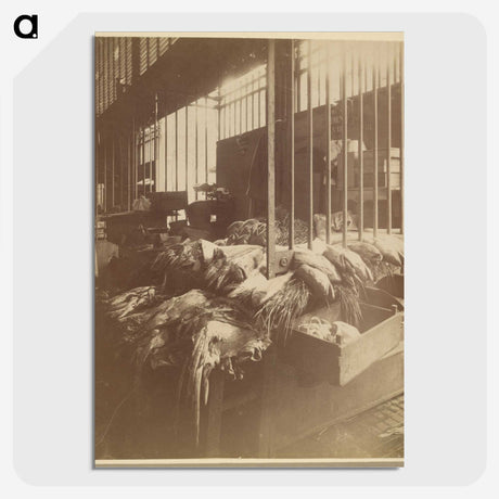 3-23_Eugene-Atget_picture-crop
