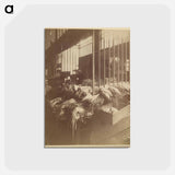 アートポストカード-Les Halles
 - ウジェーヌ アジェ Postcard.