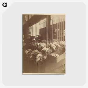3-23_Eugene-Atget_postcard