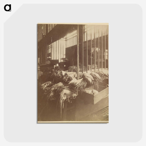 Les Halles
 - ウジェーヌ アジェ Postcard.
