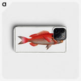 3-23_Ichtyologie-ou-Histoire-naturelle_phone