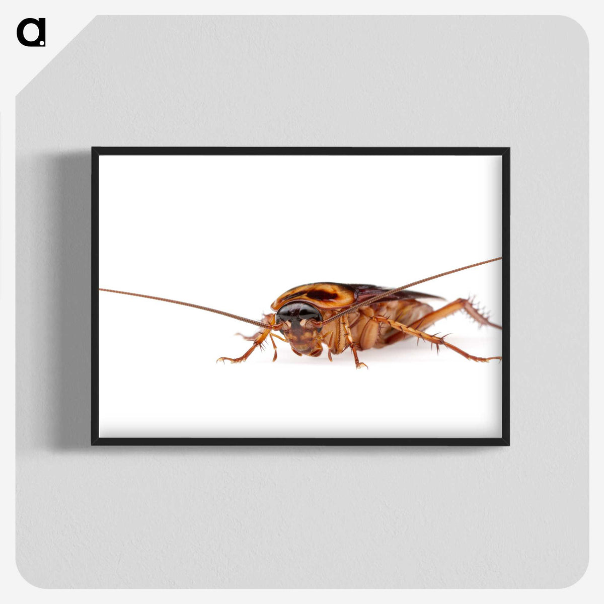 3-23_Insects-Unlocked-Project_blk-crop