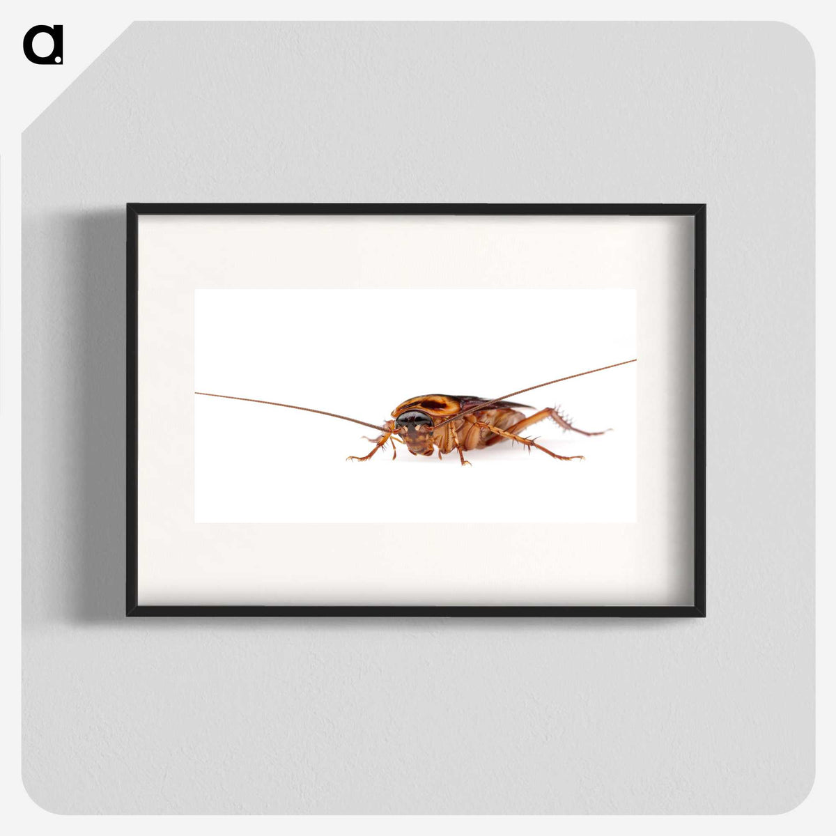 3-23_Insects-Unlocked-Project_blk