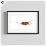 3-23_Insects-Unlocked-Project_blk