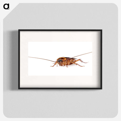 3-23_Insects-Unlocked-Project_blk