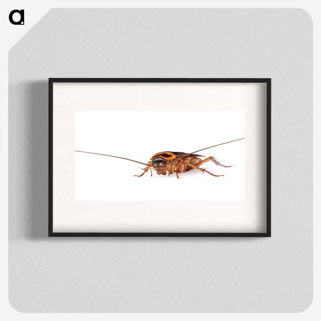 3-23_Insects-Unlocked-Project_blk