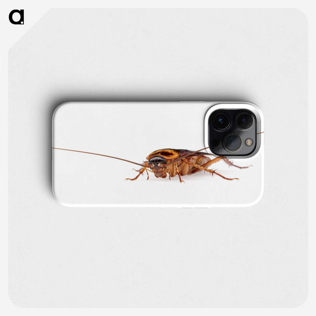 3-23_Insects-Unlocked-Project_phone
