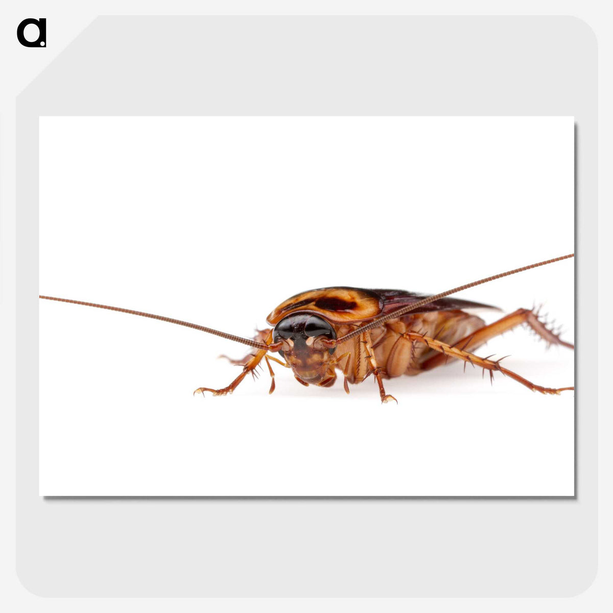 3-23_Insects-Unlocked-Project_picture-crop