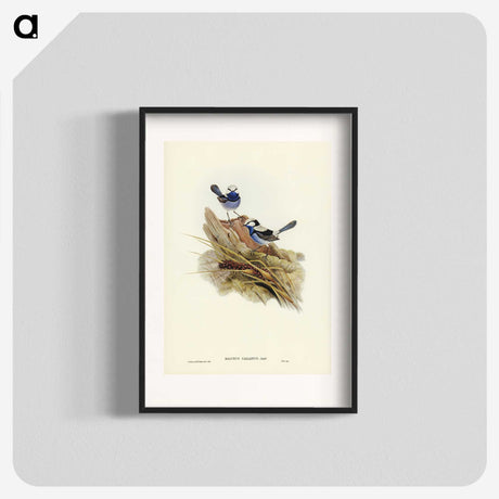 3-23_John-Gould_blk