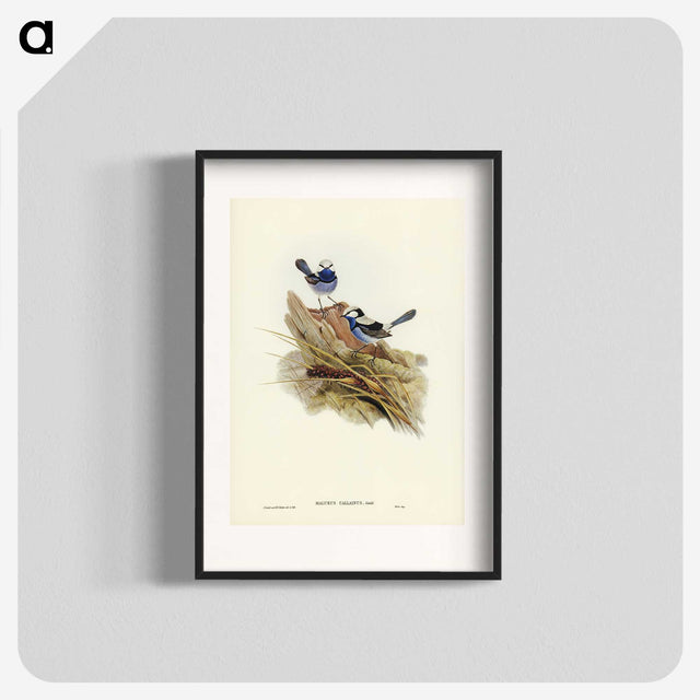 3-23_John-Gould_blk