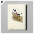 3-23_John-Gould_canvas