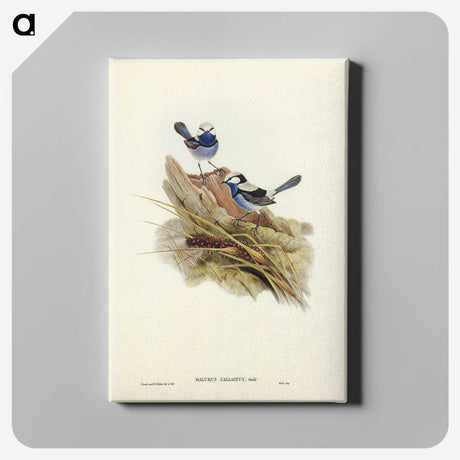 3-23_John-Gould_canvas