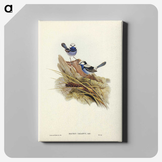 3-23_John-Gould_canvas