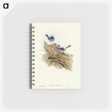 3-23_John-Gould_memo