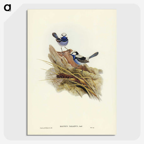 3-23_John-Gould_picture-crop