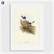 3-23_John-Gould_picture