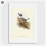 3-23_John-Gould_picture