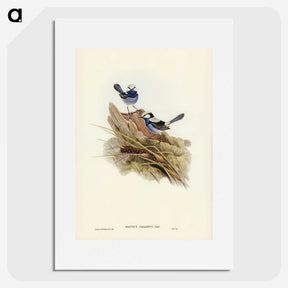 3-23_John-Gould_picture