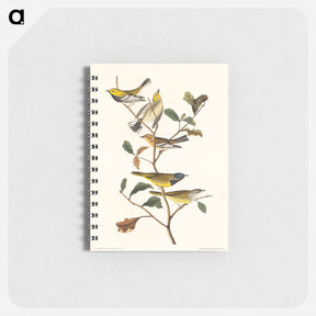アートメモ帳-Warblers of America
 - ジョン ジェームス オーデュボン Memo.