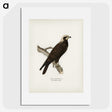 3-23_Magnus-von-Wright_picture
