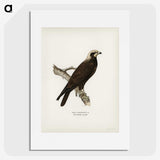 3-23_Magnus-von-Wright_picture