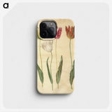 3-23_Maria-Sibylla-Merian_phone