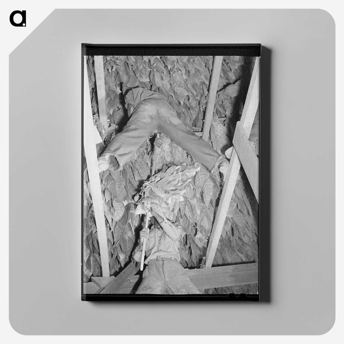 3-23_Marion-Post-Wolcott_canvas