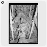 3-23_Marion-Post-Wolcott_picture-crop