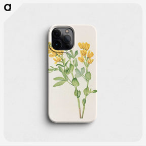 3-23_Mary-Vaux-Walcott_phone