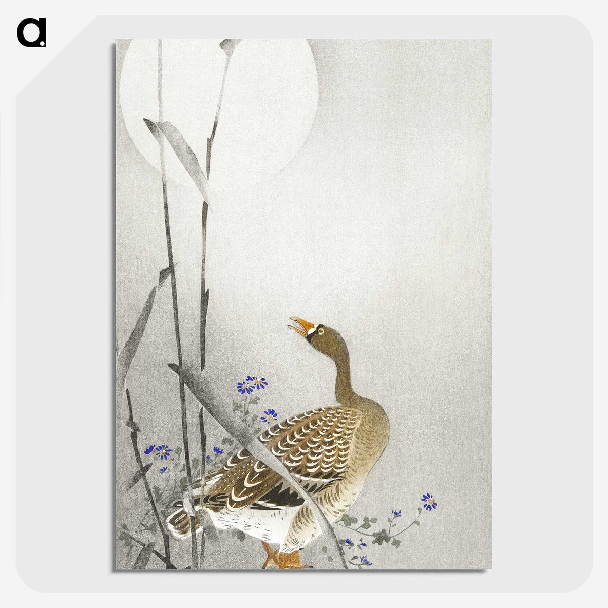 3-23_Ohara-Koson_picture-crop