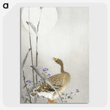 3-23_Ohara-Koson_picture-crop