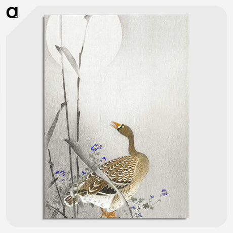 3-23_Ohara-Koson_picture-crop