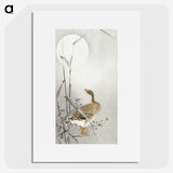 3-23_Ohara-Koson_picture