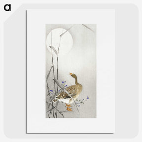 3-23_Ohara-Koson_picture