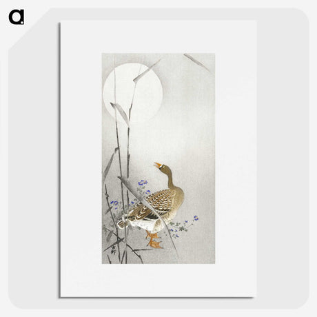 3-23_Ohara-Koson_picture