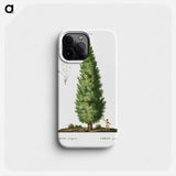 English oak, Quercus fastigiata - Pierre Joseph Redouté Phone Case.