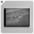 3-23_Russell-Lee_canvas