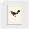 アートポストカード-Fieldfare
 - スヴェンスカ フォグラル Postcard.