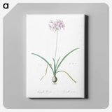 3-23_The-Lilies_canvas