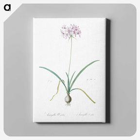 3-23_The-Lilies_canvas