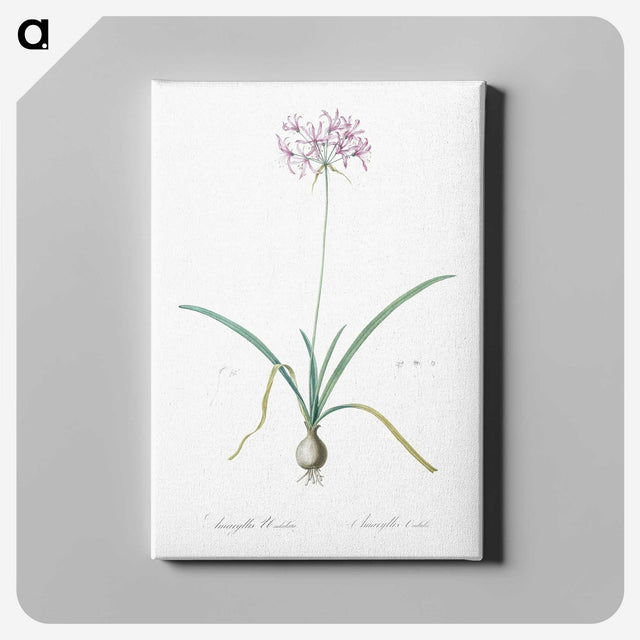 3-23_The-Lilies_canvas